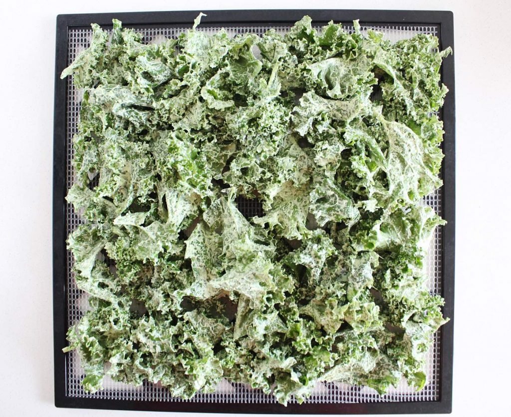 Dill Pickle Kale Chips